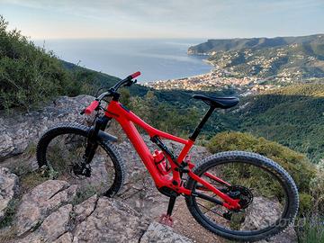 Ebike Specialized Turbo Levo SL taglia L usata