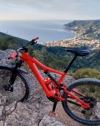 Ebike Specialized Turbo Levo SL taglia L usata