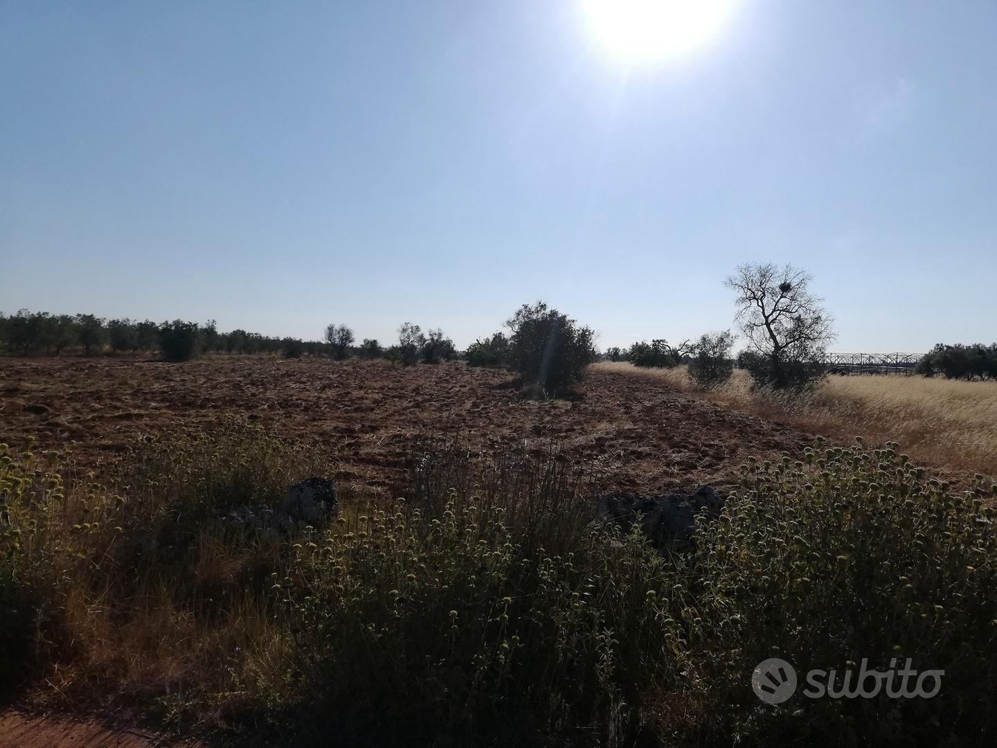 Terreno agricolo - Vista 5
