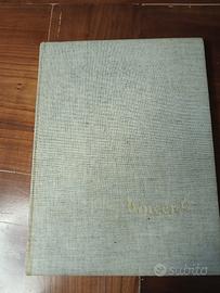 libro VAN GOGH testo di MEYER SCHAPIRO