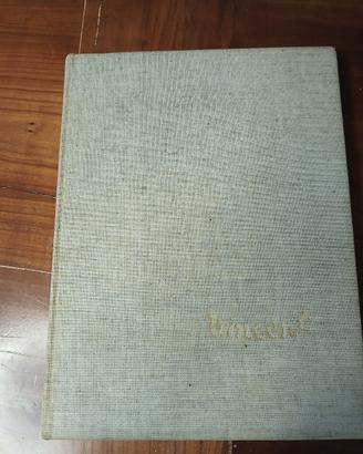 libro VAN GOGH testo di MEYER SCHAPIRO