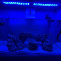 Acquario marino 225 litri completo