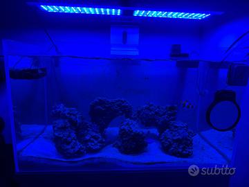 Acquario marino 225 litri completo
