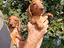 Immagine 5
