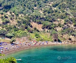 VACANZA ALL'ELBA:Mare & Natura