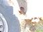 Immagine 4
