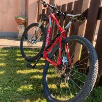 Bici bottecchia stelvio 27.5