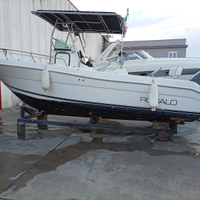 Robalo R230