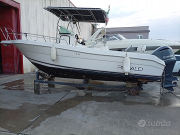 Robalo R230