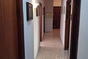 Solo studentessa o lavoratrice