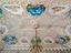 Immagine 26