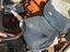 Immagine 23