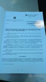 Libretto ministeriale ponteggio edil ponte