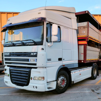 Trattore stradale DAF XF 105 460