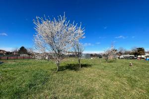 Terreno con Rustico accatastato