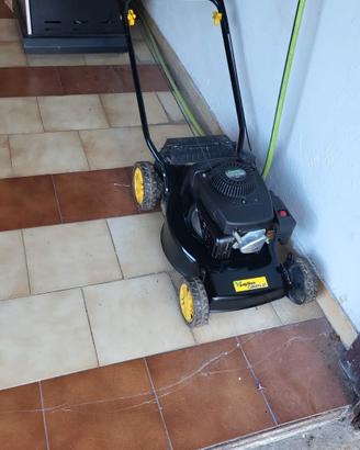 taglierba a benzina