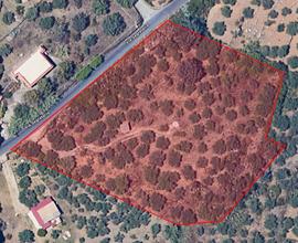 Terreno di 5.900 mq con progetto per villetta
