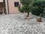 Immagine 29