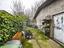Immagine 11