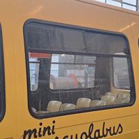 VETRI PER CAMPERIZZARE DUCATO SECONDA SERIE