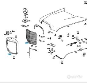 Calandra e Grigia per Mercedes W110