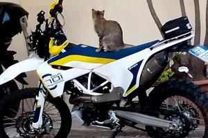 Husqvarna 701 Enduro 2019