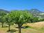 Immagine 19
