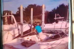 Barca Cranchi Ellipse 21