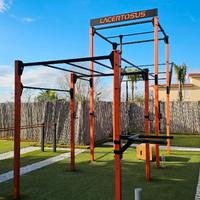 Rig Calisthenics Lacertosus