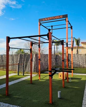 Rig Calisthenics Lacertosus