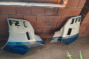 carene fz vetroresina 