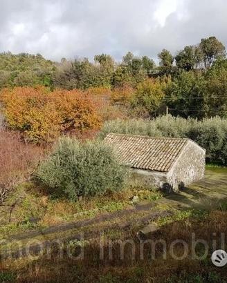 Terreno 5 ettari con fabbricato Piedimonte Etneo