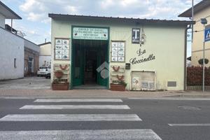 NEGOZIO A LAMPORECCHIO