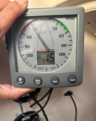 Raymarine