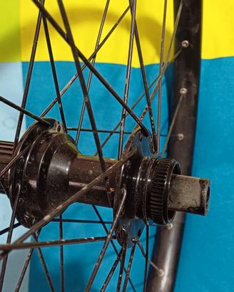 ruote mtb