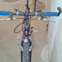 Bici una da donna una da uomo