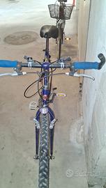 Bici una da donna una da uomo