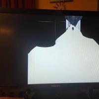 Monitor LCD Philips 246V5LHAB/00