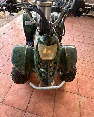 Mini quad 110 cc