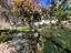 Immagine 24