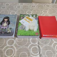 Set di 21 maxi quadernoni