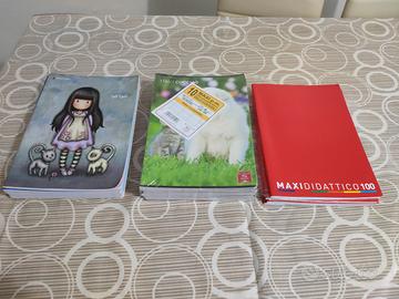 Set di 21 maxi quadernoni