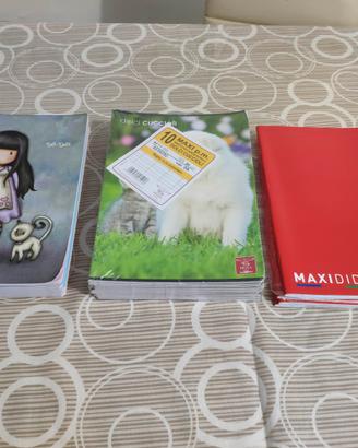 Set di 21 maxi quadernoni