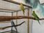 Immagine 2