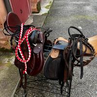 Due selle con tutti gli accessori