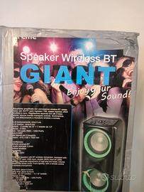 cassa audio da festa.300 watt come nuova
