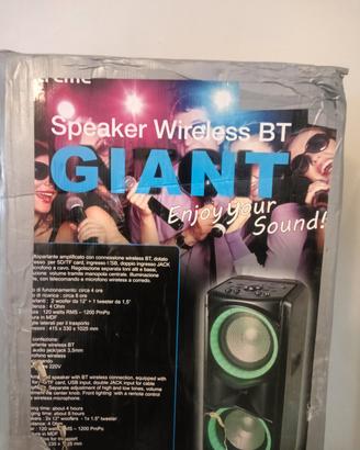 cassa audio da festa.300 watt come nuova