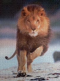 Puzzle 1000 pezzi Clementoni 