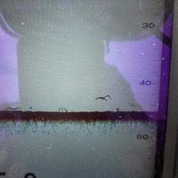 Ecoscandaglio furuno fcv 628