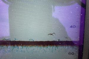 Ecoscandaglio furuno fcv 628